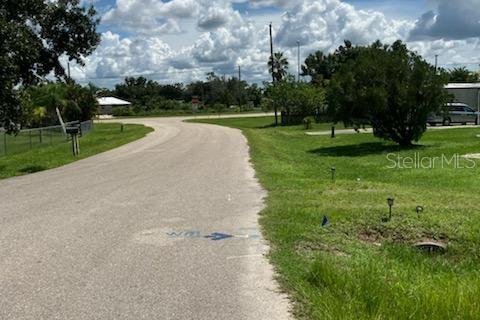 Land in Punta Gorda, Florida № 2163810 - photo 5