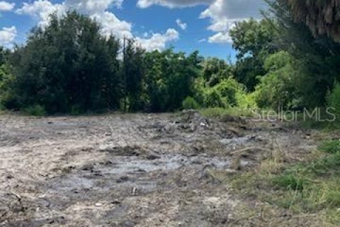 Land in Punta Gorda, Florida № 2163810 - photo 3