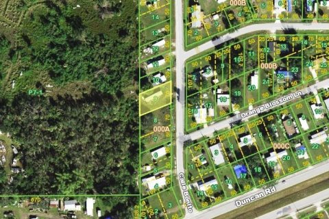 Land in Punta Gorda, Florida № 2163810 - photo 8