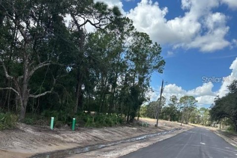 Land in Kissimmee, Florida № 2232628