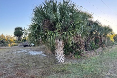 Land in Port Charlotte, Florida № 2108403 - photo 12