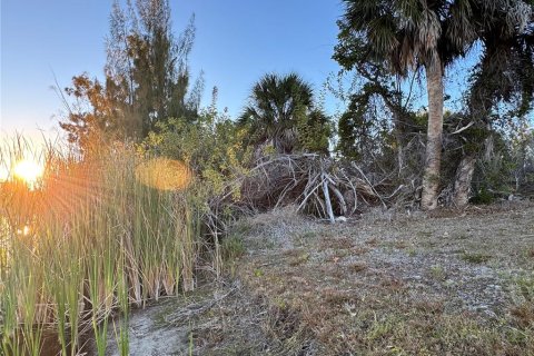 Land in Port Charlotte, Florida № 2108403 - photo 8