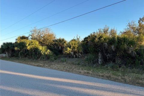 Land in Port Charlotte, Florida № 2108403 - photo 10