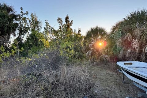 Land in Port Charlotte, Florida № 2108403 - photo 7