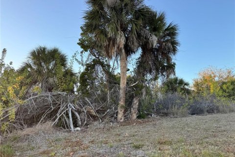 Land in Port Charlotte, Florida № 2108403 - photo 9