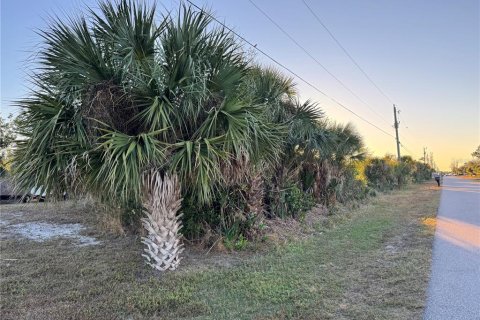 Land in Port Charlotte, Florida № 2108403 - photo 11