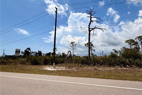 Land in Placida, Florida № 2232453 - photo 5