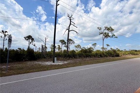 Land in Placida, Florida № 2232453 - photo 3