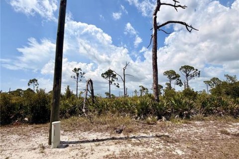 Land in Placida, Florida № 2232453 - photo 2