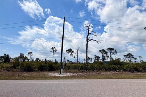 Land in Placida, Florida № 2232453