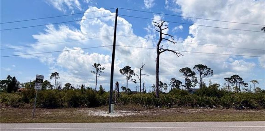 Land in Placida, Florida № 2232453