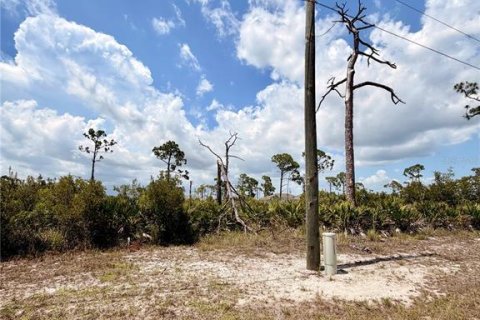 Land in Placida, Florida № 2232453 - photo 4
