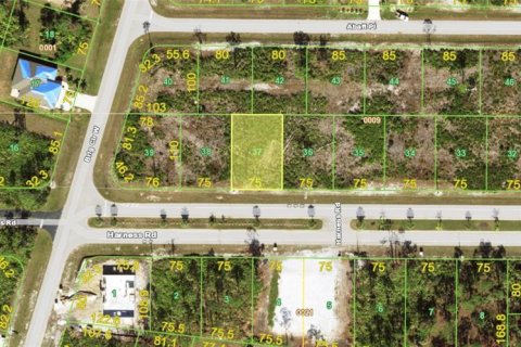 Land in Placida, Florida № 2232453 - photo 9