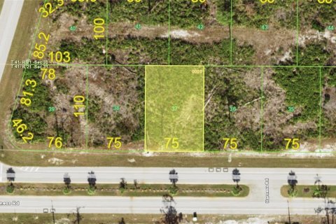 Land in Placida, Florida № 2232453 - photo 8