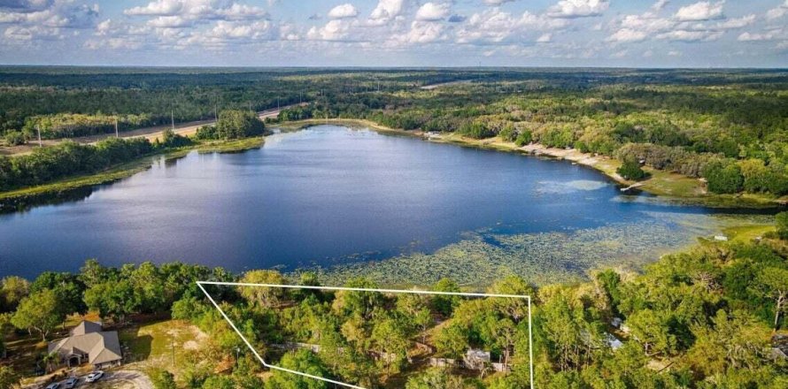 Land in Hawthorne, Florida № 807153