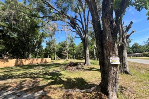 Villa ou maison à vendre à Auburndale, Floride: 3 chambres, 132.48 m2 № 1915583 - photo 16
