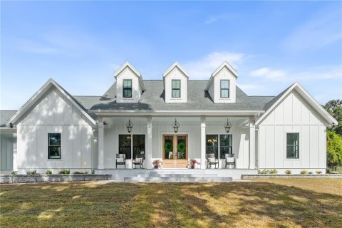 Villa ou maison à Newberry, Floride 4 chambres, 363.53 m2 № 2222504