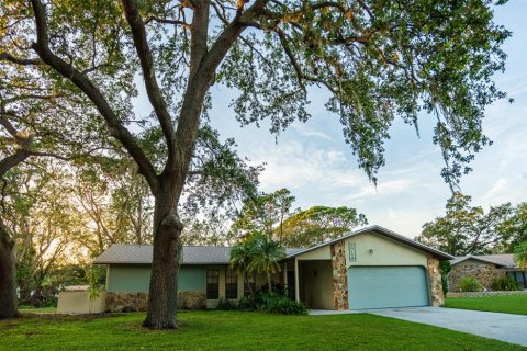 Casa en alquiler en Sarasota, Florida, 3 dormitorios, 121.42 m2 № 2225645 - foto 16