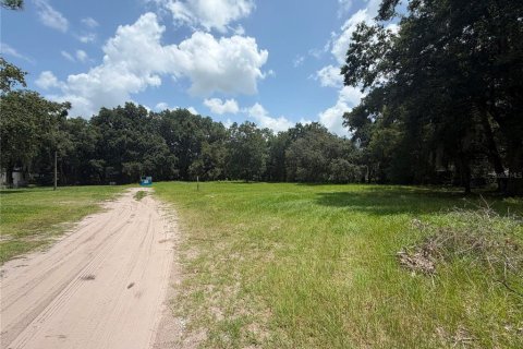 Land in Kissimmee, Florida № 2219493