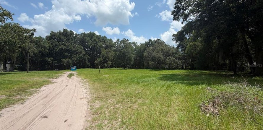 Terreno en Kissimmee, Florida № 2219493