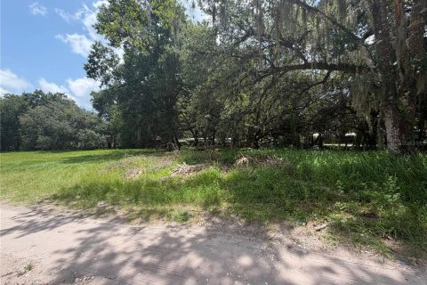 Terreno en venta en Kissimmee, Florida № 2219493 - foto 5