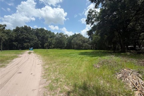 Terreno en venta en Kissimmee, Florida № 2219493 - foto 3