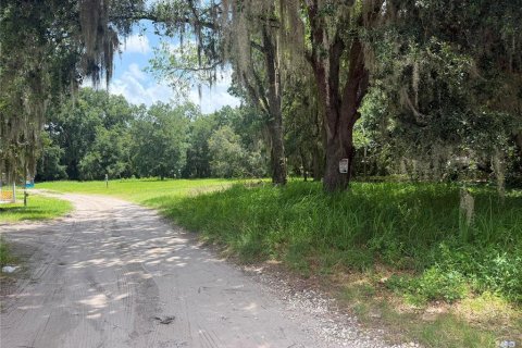 Terreno en venta en Kissimmee, Florida № 2219493 - foto 4
