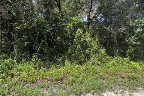 Land in New Port Richey, Florida № 2222636