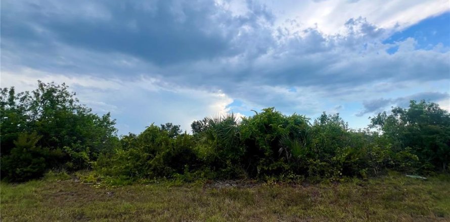 Terrain à Port Charlotte, Floride № 2267016