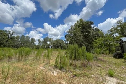 Terrain à vendre à Ocala, Floride № 1870531 - photo 6