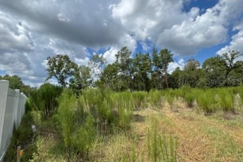 Terrain à vendre à Ocala, Floride № 1870531 - photo 7