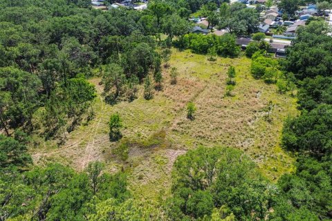 Terreno en venta en Brandon, Florida № 1647732 - foto 9