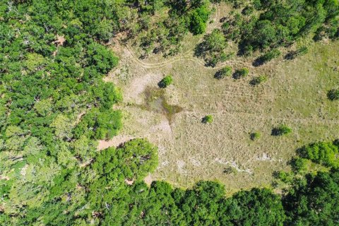 Terreno en venta en Brandon, Florida № 1647732 - foto 23