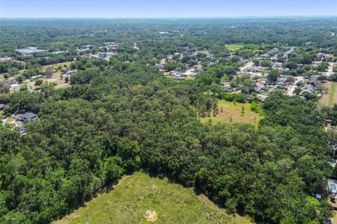 Terreno en venta en Brandon, Florida № 1647732 - foto 6