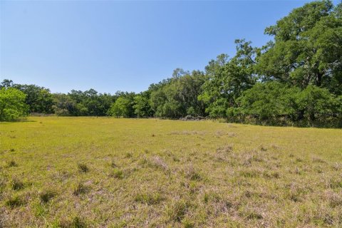 Terreno en venta en Brandon, Florida № 1647732 - foto 25
