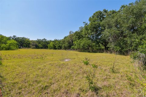 Terreno en venta en Brandon, Florida № 1647732 - foto 24