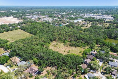 Terreno en venta en Brandon, Florida № 1647732 - foto 20