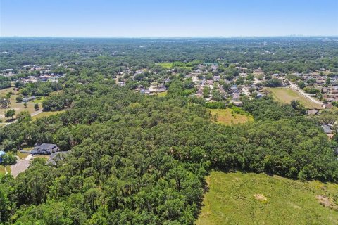 Terreno en venta en Brandon, Florida № 1647732 - foto 7