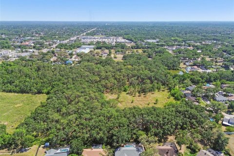 Terreno en venta en Brandon, Florida № 1647732 - foto 4