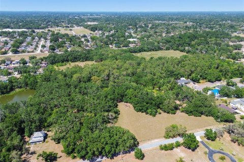 Terreno en venta en Brandon, Florida № 1647732 - foto 14