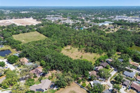 Terreno en venta en Brandon, Florida № 1647732 - foto 19