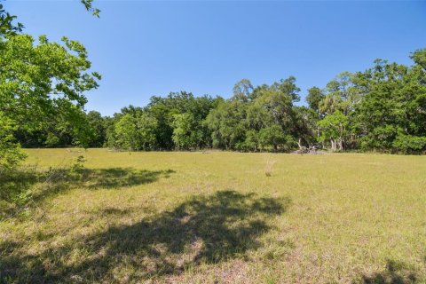 Terreno en venta en Brandon, Florida № 1647732 - foto 27
