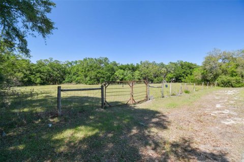 Terreno en venta en Brandon, Florida № 1647732 - foto 29