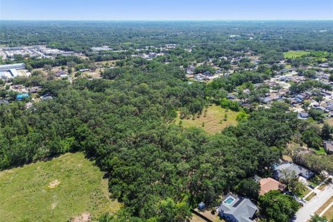 Terreno en venta en Brandon, Florida № 1647732 - foto 22