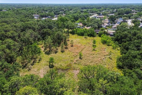Terreno en venta en Brandon, Florida № 1647732 - foto 8