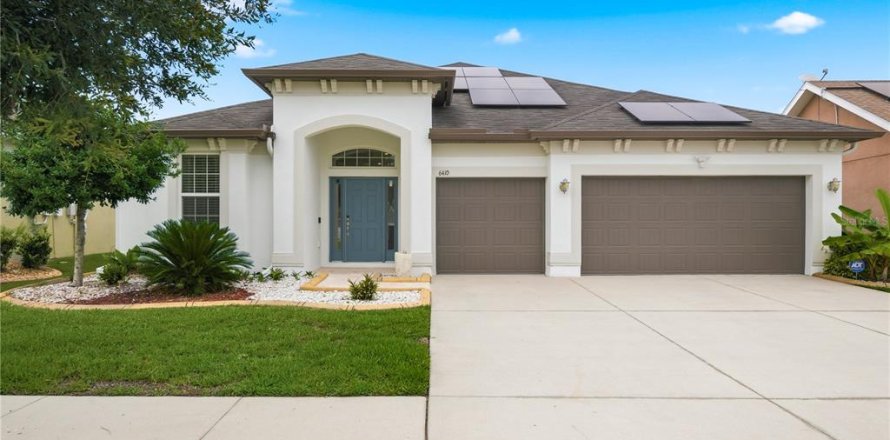 House in Wesley Chapel, Florida 4 bedrooms, 244.98 sq.m. № 2220179