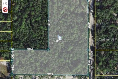 Terrain à Ocala, Floride № 2305214