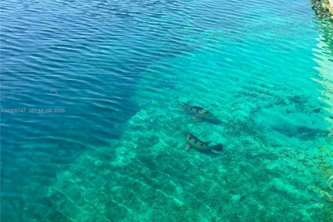 Снять в аренду виллу или дом в Майами-Лейкс, Флорида 3 спальни, 134.24м2, № 2019977 - фото 24