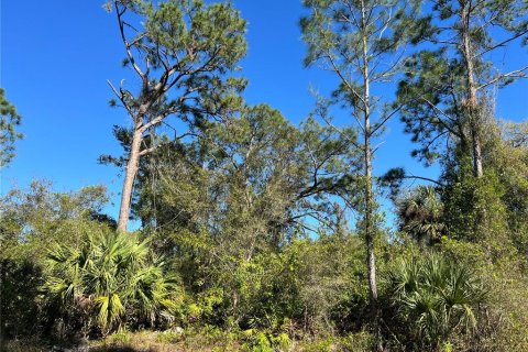 Land in North Port, Florida № 2164955