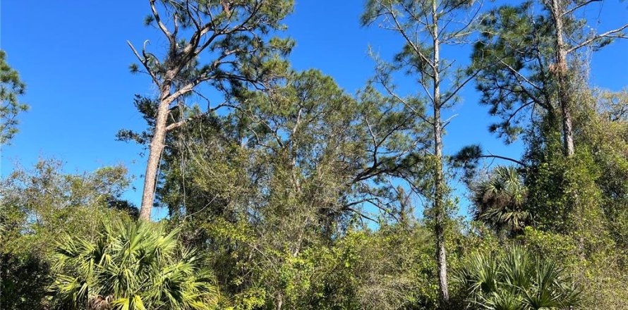 Land in North Port, Florida № 2164955